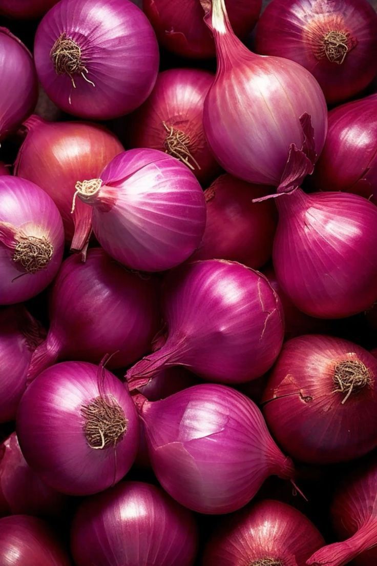בצל סגול