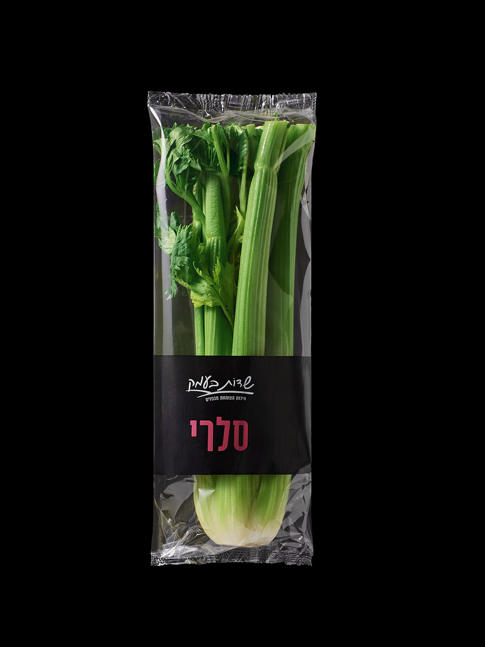 סלרי "שדות בעמק"